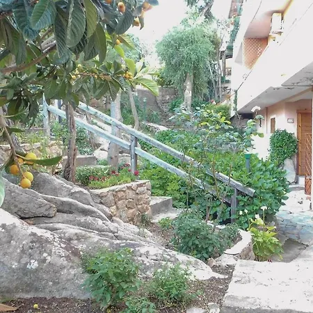 Casa Ulivo Porto Rotondo